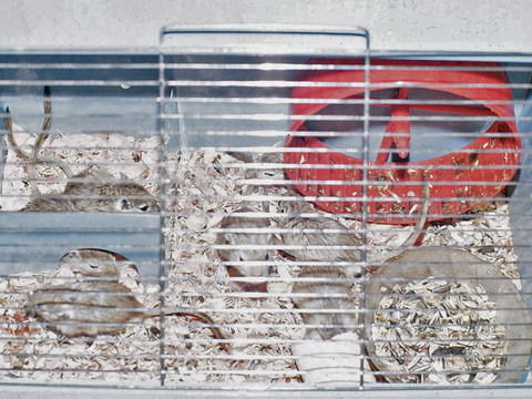 Photos 401 600 Monaghan 2008 12 09  450